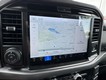 2025 Ford F-150 XLT 4WD SuperCrew Box thumbnail image 16