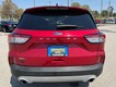 2022 Ford Escape SEL thumbnail image 04
