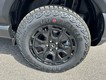 2025 Ford Bronco Sport Badlands thumbnail image 06