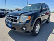 2011 Ford Escape XLT thumbnail image 08