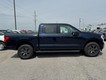 2025 Ford F-150 Lightning Flash thumbnail image 02