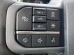 2025 Ford F-150 Lightning Flash thumbnail image 12