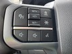 2025 Ford F-150 Lightning Flash thumbnail image 12