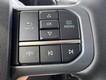 2025 Ford F-150 Lightning Flash thumbnail image 13
