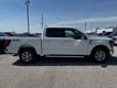 2025 Ford F-150 XLT 4WD SuperCrew Box thumbnail image 02