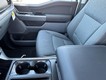 2025 Ford F-150 XLT 4WD SuperCrew Box thumbnail image 09