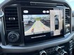 2025 Ford F-150 XLT 4WD SuperCrew Box thumbnail image 17