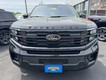 2025 Ford Expedition Max Platinum thumbnail image 02