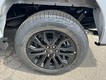 2025 Ford F-150 XLT 4WD SuperCrew Box thumbnail image 06