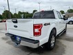 2019 Ford F-150 4WD XLT SuperCrew thumbnail image 03