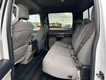 2019 Ford F-150 4WD XLT SuperCrew thumbnail image 10