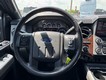 2015 Ford Super Duty F-350 SRW 4WD Lariat Crew Cab thumbnail image 13