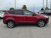 2014 Ford Escape SE thumbnail image 02