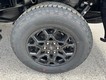 2025 Ford F-150 XLT 4WD SuperCrew Box thumbnail image 06