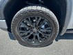 2024 GMC Sierra 1500 Denali thumbnail image 07