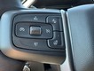 2024 GMC Sierra 1500 Denali thumbnail image 18