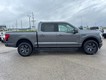 2025 Ford F-150 Lightning Flash thumbnail image 02