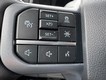 2025 Ford F-150 Lightning Flash thumbnail image 12