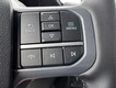 2025 Ford F-150 Lightning Flash thumbnail image 13