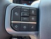 2025 Ford F-150 Lightning Flash thumbnail image 12