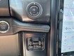 2025 Ford F-150 Lightning Flash thumbnail image 17