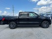 2025 Ford F-150 Lightning Flash thumbnail image 02