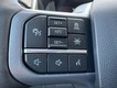 2025 Ford F-150 Lightning Flash thumbnail image 12