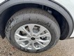 2025 Ford Escape Active thumbnail image 06