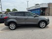 2019 Ford Escape SE thumbnail image 02