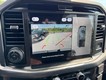 2025 Ford F-150 XLT 4WD SuperCrew Box thumbnail image 17