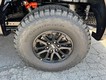 2025 Ford F-150 Raptor thumbnail image 06