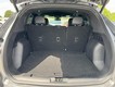 2024 Ford Escape ST-Line thumbnail image 06