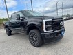 2025 Ford Super Duty F-350 SRW Platinum thumbnail image 02