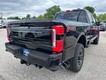2025 Ford Super Duty F-350 SRW Platinum thumbnail image 03
