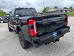 2025 Ford Super Duty F-350 SRW Platinum thumbnail image 05