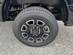 2025 Ford Super Duty F-350 SRW Platinum thumbnail image 06