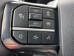 2025 Ford Super Duty F-350 SRW Platinum thumbnail image 13
