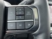 2025 Ford Super Duty F-350 SRW Platinum thumbnail image 14