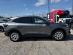 2025 Ford Escape Active thumbnail image 02