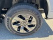 2025 Ford F-150 Lightning Flash thumbnail image 06