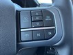 2025 Ford F-150 Lightning Flash thumbnail image 13