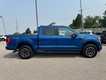 2023 Ford F-150 4WD XLT SuperCrew thumbnail image 02