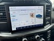 2023 Ford F-150 4WD XLT SuperCrew thumbnail image 19