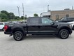 2023 Ford F-150 4WD XLT SuperCrew thumbnail image 02