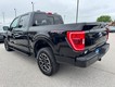2023 Ford F-150 4WD XLT SuperCrew thumbnail image 05