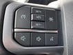 2023 Ford F-150 4WD XLT SuperCrew thumbnail image 16
