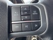 2022 Ford F-150 4WD XLT SuperCrew thumbnail image 17