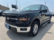 2024 Ford F-150 XLT thumbnail image 08