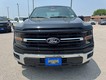 2024 Ford F-150 XLT thumbnail image 09