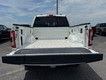 2023 Ford F-150 4WD Platinum SuperCrew thumbnail image 06